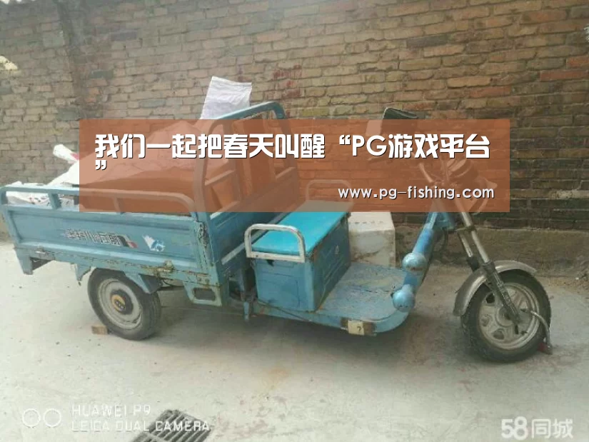 PG麻将游戏大厅