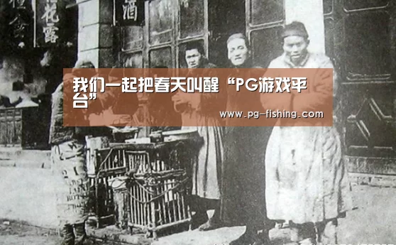 PG游戏平台